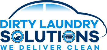 LAUNDRYSOLS_LOGO